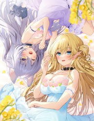 Rule 34 | 2girls, animal ears, arm ribbon, bare shoulders, blonde hair, blue dress, blue eyes, blurry, blurry foreground, blush, bow, breast press, breasts, butterfly hair ornament, cat ears, cat tail, cleavage, collar, collarbone, dress, elf, fangs, floral print, flower, gold, hair between eyes, hair ornament, hair rings, holding hands, lace, lace-trimmed dress, lace trim, large breasts, layered skirt, long hair, looking at viewer, lying, matching outfits, medium breasts, multiple girls, navy (navy.blue), on back, on side, one eye closed, open mouth, original, petals, pointy ears, purple dress, purple hair, ribbon, skirt, smile, sundress, tail, tail bow, tail ornament, yellow eyes