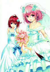 Rule 34 | 2girls, breasts, dress, female focus, highres, multiple girls, plant, simple background, tagme, to love-ru, to love-ru darkness, wedding dress, white background