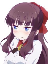Rule 34 | 1girl, blue eyes, blush, bow, breasts, brown hair, closed mouth, collared shirt, hair bow, long hair, looking away, looking to the side, medium breasts, new game!, red bow, shirt, sidelocks, simple background, solo, tadanoshi kabane, takimoto hifumi, upper body, white background, white shirt