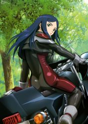 Rule 34 | 00s, 1girl, absurdres, arm support, ass, biker clothes, bikesuit, blue hair, bodysuit, boots, crop top, cropped jacket, day, from behind, gloves, green eyes, grey footwear, grey gloves, head tilt, unworn headwear, helmet, unworn helmet, highres, hisayuki hirokazu, jacket, kuga natsuki, long hair, looking at viewer, looking back, megami magazine, motor vehicle, motorcycle, motorcycle helmet, my-hime, non-web source, official art, open clothes, open jacket, open mouth, outdoors, parted bangs, parted lips, riding, scan, shiny clothes, sidelocks, skin tight, solo, straddling, swept bangs, tree, vehicle, visor