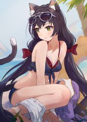 Rule 34 | 1girl, animal ear fluff, animal ears, bare shoulders, bikini, black hair, blush, bow, breasts, cat ears, cat girl, cat tail, cleavage, closed mouth, collarbone, eyewear on head, from side, green eyes, hair bow, highres, karyl (princess connect!), karyl (summer) (princess connect!), long hair, looking to the side, medium breasts, multicolored hair, princess connect!, red bow, shorts, shorts around one leg, solo, squatting, streaked hair, sunglasses, swimsuit, tail, takeashiro, twintails, white shorts