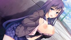 Rule 34 | 1girl, aomi mone, blue eyes, blush, breasts squeezed together, breasts, breasts out, character request, fence, game cg, happy, huge breasts, lingerie, long hair, looking at viewer, love ecchi dessin, nipples, open clothes, purple hair, school uniform, sitting, skirt, smile, underwear