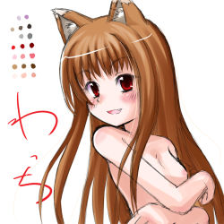 Rule 34 | 00s, 1girl, blush, brown hair, holo, long hair, nude, red eyes, solo, spice and wolf, ta 299, wolf ears