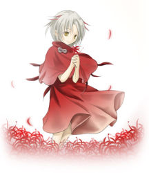Rule 34 | .hack//, .hack//ai buster, bandai, cyber connect 2, dress, flower, lycoris, lycoris (.hack//), multicolored hair, own hands clasped, own hands together, petals, red dress, robe, short hair, silver hair, smile, spider lily, streaked hair, wind, yellow eyes