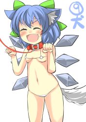 Rule 34 | 1girl, ^ ^, animal collar, animal ears, bikini, blue hair, blush, bow, breasts, circled 9, cirno, closed eyes, collar, dog ears, dog tail, closed eyes, fang, gaoo (frpjx283), hair bow, highres, kemonomimi mode, leash, navel, open mouth, paw pose, small breasts, smile, solo, swimsuit, tail, touhou, white bikini, wings