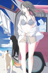 Rule 34 | 1girl, animal, aspara, bad id, bad pixiv id, bare shoulders, beach, bikini, bikini top only, blue ribbon, blue sky, breasts, cloud, collared shirt, contrail, day, dog, dress shirt, dressing, grey hair, hair tie, half-closed eyes, highres, laundry, legs apart, long hair, looking away, mouth hold, navel, ocean, off shoulder, open clothes, original, outdoors, radio, ribbon, shirt, shorts, sky, solo, standing, striped bikini, striped clothes, swimsuit, vehicle, white shirt, wind