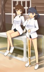 Rule 34 | 2girls, animal ears, black eyes, black hair, breasts, brown eyes, brown hair, buttons, eyepatch, hand on shoulder, military, military uniform, multiple girls, rasielcochma, sakamoto mio, sitting, strike witches, takei junko, uniform, world witches series