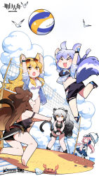Rule 34 | &gt; &lt;, 5girls, :d, animal, animal ears, arknights, ball, barefoot, beach, bird, black footwear, black one-piece swimsuit, black shorts, black wristband, blonde hair, blue dress, blue hair, blue jacket, blush stickers, braid, cat ears, cat girl, cat tail, ceylon (arknights), chibi, chinese commentary, closed eyes, cloud, copyright name, crab, dress, ear piercing, eyewear on head, feather hair, full body, grey hair, hair bun, highres, hip vent, holding, holding umbrella, horse ears, infection monitor (arknights), interlocked fingers, jacket, jumping, long hair, midriff, multiple girls, navel, nearl (arknights), nearl (shimmering dew) (arknights), official alternate costume, official art, one-piece swimsuit, open clothes, open jacket, open mouth, parasol, piercing, pink hair, playing games, ponytail, provence (arknights), provence (casual vacation) (arknights), purple hair, rock, sand, schwarz (arknights), seagull, seashell, see-through, shadow, shell, shorts, single hair bun, skyfire (arknights), skyfire (temperature difference) (arknights), smile, standing, sunglasses, sweatdrop, swimsuit, swimsuit cover-up, sword, tail, thigh strap, umbrella, very long hair, volleyball, volleyball (object), volleyball net, watermark, weapon, white background, white headwear, white one-piece swimsuit, wolf ears, wolf girl, wolf tail, wristband, yellow eyes