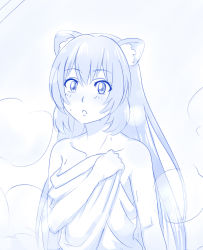 Rule 34 | 1girl, animal ears, bare shoulders, blue theme, blush, breasts, covering privates, covering breasts, highres, long hair, monochrome, naked towel, raccoon ears, raccoon girl, raphtalia, solo, steam, tate no yuusha no nariagari, towel, upper body, viperxtr, wet