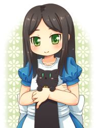 Rule 34 | 1girl, alice: madness returns, alice (alice in wonderland), alice liddell (american mcgee&#039;s alice), american mcgee&#039;s alice, american mcgee's alice, animal, apron, black hair, cat, dress, floral background, green background, green eyes, holding, holding animal, long hair, looking at viewer, mizuno mumomo, puffy short sleeves, puffy sleeves, short sleeves, simple background, upper body, whiskers