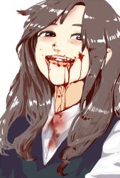 Rule 34 | 1girl, artist request, beaten, blood, blood from mouth, blush, brown eyes, brown hair, grin, guro, long hair, smile, solo, source request, sweater vest, upper body, white background