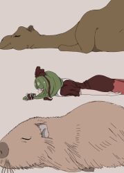 Rule 34 | 1girl, animal, bad id, bad twitter id, blush stickers, bow, camel, capybara, closed eyes, covered mouth, dress, from side, front ponytail, green hair, hair bow, hair ribbon, kagiyama hina, lying, on stomach, oshouyu tabetai, otter, puffy short sleeves, puffy sleeves, red dress, ribbon, short sleeves, simple background, sleeping, touhou, whiskers