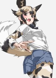 Rule 34 | 1girl, african wild dog (kemono friends), african wild dog print, animal ears, black bow, black bowtie, blush, bow, bowtie, brown eyes, brown hair, collared shirt, commentary, cowboy shot, cutoff jeans, cutoffs, denim, denim shorts, dog ears, dog girl, dog tail, extra ears, from below, grey background, highres, kemono friends, light brown hair, long sleeves, looking at viewer, open mouth, pantyhose, print pantyhose, print sleeves, shirt, short hair, short shorts, short sleeves, shorts, sidelocks, simple background, solo, sweatdrop, tail, tanabe (fueisei), white shirt