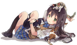 Rule 34 | 1girl, :3, animal, animal on head, black footwear, black hair, black socks, blue bow, blue bowtie, blue skirt, bow, bowtie, calico, cat, cat on head, cat on person, collared shirt, commentary request, green eyes, kneehighs, long hair, looking at viewer, lying, miniskirt, on back, on head, original, plaid, plaid bow, plaid bowtie, plaid neckwear, pleated skirt, saya (mychristian2), school uniform, shirt, shoes, skirt, sleeves pushed up, socks, solo, sweater vest, watch, white background, white shirt, wristwatch