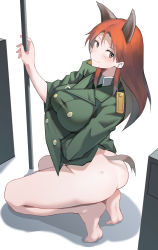 Rule 34 | 1girl, animal ears, ass, ayakumo, bare legs, blush, bottomless, breasts, from behind, highres, kneeling, long hair, looking at viewer, looking back, medium breasts, military, military uniform, minna-dietlinde wilcke, shiny skin, simple background, smile, soles, solo, strike witches, tail, uniform, white background, wolf ears, wolf tail, world witches series