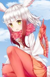 Rule 34 | 1girl, bird tail, blouse, blue sky, blunt bangs, cloud, cloudy sky, commentary request, day, frilled sleeves, frills, fur collar, gloves, head wings, highres, japanese crested ibis (kemono friends), kemono friends, legs, long hair, long sleeves, looking at viewer, multicolored hair, nenosame, open mouth, outdoors, pantyhose, partial commentary, pleated skirt, pointing, pointing up, red hair, red pantyhose, shirt, skirt, sky, smile, solo, squatting, tail, white hair, white shirt, wide sleeves, wings, yellow eyes