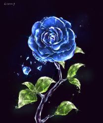 Rule 34 | artist name, black background, blue flower, blue rose, blue theme, breaking, cocon (cocon q), flower, glint, highres, leaf, no humans, original, rose, signature, simple background, still life, twitter username, water drop