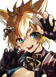 Rule 34 | 1boy, animal ears, bishounen, black gloves, brown hair, dog boy, dog ears, fangs, fingerless gloves, genshin impact, gloves, gorou (genshin impact), green eyes, highres, male focus, open mouth, paw pose, short hair, simple background, solo, tongue, tongue out, white background, yoruhachi