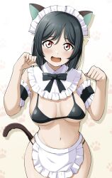 Rule 34 | 1girl, adapted costume, alternate breast size, animal ears, arm strap, barkhorn0331, bikini, black bikini, black hair, black ribbon, blush, breasts, breasts apart, cat ears, cat tail, commentary request, fang, furrowed brow, hands up, highres, looking at viewer, love live!, love live! nijigasaki high school idol club, maid headdress, medium breasts, midriff, mifune shioriko, navel, neck ribbon, open mouth, paw pose, red eyes, ribbon, short hair, solo, standing, swimsuit, tail, upper body, white background