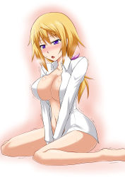 Rule 34 | 10s, 1girl, barefoot, blonde hair, blush, breasts, breath, charlotte dunois, cleavage, infinite stratos, kneeling, large breasts, open clothes, open shirt, purple eyes, shirt, solo, trembling, zerosu (take out)