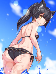 Rule 34 | 1girl, animal ears, ass, bare shoulders, bikini, black hair, blush, breasts, cat ears, cougar (cougar1404), dimples of venus, from behind, from below, long hair, looking at viewer, looking back, medium breasts, original, ponytail, shiny clothes, shiny skin, sideboob, solo, swimsuit, water, wedgie, wet, wet clothes, wet hair, yellow eyes