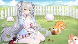 Rule 34 | 1girl, akuma (ogino-m), blue dress, blush, braid, cloud, cloudy sky, commentary request, dress, fence, field, grass, hair between eyes, hair ribbon, highres, hill, holding, light smile, long hair, looking at viewer, nut (food), original, outdoors, pinecone, plant, ribbon, sheep, silver hair, sitting, sky, solo, squirrel, thighhighs, two side up, very long hair, wariza, white thighhighs, wrist cuffs, yellow eyes