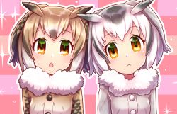 Rule 34 | 10s, 2girls, :o, brown hair, checkered background, coat, commentary request, eurasian eagle owl (kemono friends), fur collar, grey hair, highres, hoshimelon, kemono friends, looking at viewer, multicolored hair, multiple girls, northern white-faced owl (kemono friends), orange eyes, short hair, sparkle, upper body, white hair