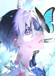 Rule 34 | 1boy, bishounen, blood, blood in hair, blood on clothes, blue bow, blue bowtie, blue eyes, blue jacket, bow, bowtie, bug, butterfly, ciel phantomhive, commentary, corrupted twitter file, english commentary, glowing, glowing eye, hair between eyes, heterochromia, highres, insect, jacket, kuroshitsuji, male focus, open mouth, pale skin, purple eyes, reflection, short hair, signature, solo, toritoki (1301237579), white background, white theme