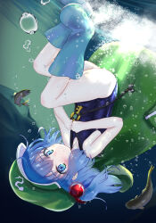 Rule 34 | 1girl, absurdres, ass, backpack, bag, bananannu, black one-piece swimsuit, blue eyes, blue footwear, blue hair, boots, bubble, closed mouth, commentary request, fish, flat cap, full body, green hat, hair bobbles, hair ornament, hat, highres, kawashiro nitori, key, light rays, looking at viewer, one-piece swimsuit, outdoors, rubber boots, school swimsuit, short hair, swimsuit, touhou, two side up, underwater, upside-down