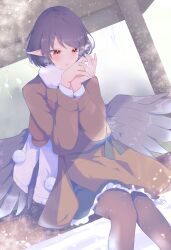 Rule 34 | 1girl, absurdres, alternate costume, bird wings, black hair, black skirt, black wings, brown coat, brown pantyhose, chilwell seele, coat, commentary request, frilled skirt, frills, highres, long coat, long sleeves, pantyhose, pointy ears, pom pom (clothes), red eyes, scarf, shameimaru aya, sitting, skirt, touhou, white scarf, wings