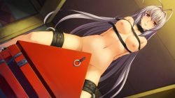 Rule 34 | 1girl, antenna hair, arms behind back, bdsm, blush, bondage, bound, breasts, collar, dutch angle, game cg, long hair, looking at viewer, navel, nipples, nude, orion (orionproject), purple eyes, purple hair, rance (series), rance ix, senhime, slave, solo, thigh strap, wooden horse
