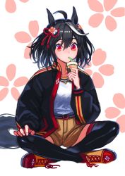 Rule 34 | 1girl, ahoge, animal ears, black hair, black jacket, black thighhighs, brown shorts, cup, drinking, drinking straw, floral background, hair between eyes, hair ribbon, highres, holding, holding cup, horse ears, horse girl, horse tail, indian style, jacket, kaneni, kitasan black (umamusume), looking at viewer, multicolored hair, open clothes, open jacket, red eyes, red footwear, red ribbon, ribbon, shirt, shoes, short hair, shorts, sitting, solo, streaked hair, tail, thighhighs, umamusume, white hair, white shirt