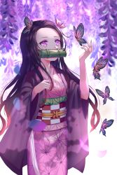 Rule 34 | 1girl, animal, backlighting, bamboo, bit gag, black hair, blurry, blurry background, brown hair, bug, butterfly, checkered sash, commentary request, depth of field, fingernails, flower, forehead, gag, gradient hair, hair ribbon, hands up, highres, insect, japanese clothes, kamado nezuko, kimetsu no yaiba, kimono, long hair, long sleeves, looking away, mouth hold, multicolored hair, nail polish, obi, open clothes, parted bangs, petals, pink eyes, pink kimono, pink nails, pink ribbon, purple flower, ribbon, ruda (ruda e), sash, sharp fingernails, solo, very long hair, white background, wide sleeves, wisteria