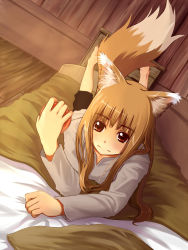 Rule 34 | 00s, 1girl, akie (tyamau0525), animal ears, apple, bad id, bad pixiv id, barefoot, bed, blush, brown hair, feet, food, fruit, highres, holo, long hair, lying, on stomach, red eyes, smile, solo, spice and wolf, tail, tyamau0525 (pixiv), wolf ears, wolf tail