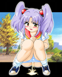 Rule 34 | 1girl, bench, blue footwear, blue panties, blush, breasts, building, bush, censored, cloud, collarbone, embarrassed, grass, hair bobbles, hair ornament, hoshino ruri, house, kidou senkan nadesico, long hair, looking at viewer, loose socks, neckerchief, open mouth, panties, panty pull, peeing, puddle, purple hair, pussy, school uniform, shirt, shoes, short sleeves, sky, small breasts, sneakers, socks, squatting, team psychopath, tree, twintails, underwear, white shirt, white socks, yellow eyes, yellow neckerchief