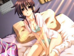Rule 34 | 1girl, azuchi ryou, bed, between thighs, blush, bra, breasts squeezed together, breasts, brown eyes, brown hair, calendar (object), dutch angle, fukushuu ~ryoujoku no yaiba~, game cg, lens flare, light rays, lingerie, long hair, loose socks, nightshirt, open clothes, open shirt, open skirt, panties, pillow, shirt, sitting, skirt, socks, solo, sunbeam, sunlight, thighs, underwear, v arms