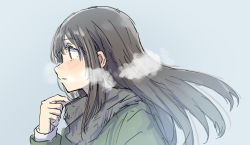 Rule 34 | 1girl, absurdres, adjusting scarf, betock, black hair, blue background, blush, breath, brown eyes, coat, commentary request, from side, green coat, grey scarf, hand up, highres, long hair, original, parted lips, profile, scarf, simple background, solo
