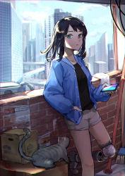 Rule 34 | 1girl, absurdres, against wall, amputee, backlighting, balcony, black hair, blue jacket, brick wall, cat, cellphone, chromatic aberration, cityscape, day, doll joints, green eyes, grey cat, hand in pocket, highres, jacket, joints, looking at viewer, medium hair, mr.lime, open clothes, open jacket, original, phone, prosthesis, prosthetic leg, shorts, smartphone, solo
