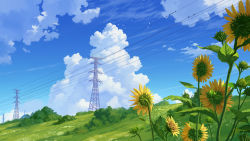 Rule 34 | bird, blue sky, cloud, contrail, flock, flower, grass, highres, hill, liuying jp, no humans, original, power lines, scenery, sky, summer, sunflower, tree