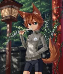 Rule 34 | 1girl, androgynous, animal ears, bad id, bad pixiv id, bike shorts, breasts, brick wall, brown hair, cowboy shot, dappled sunlight, dreadtie, eating, food, fox ears, fox tail, green eyes, hair between eyes, hand in pocket, high collar, highres, ivy, jacket, lantern, logo, long sleeves, looking at viewer, original, outdoors, plant, popsicle, short hair, signature, small breasts, solo, sunlight, tail, wooden lantern
