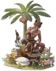 Rule 34 | 1boy, abs, ahoge, apple, arm markings, arrow (projectile), artist request, bandaged arm, bandaged leg, bandages, basket, bottle, brown hair, chest markings, coconut, coconut tree, dark-skinned male, dark skin, flower, food, fruit, grapes, grass, highres, jewelry, leaf, mahjong soul, male focus, musa (mahjong soul), necklace, official art, orange flower, palm tree, pillow, pineapple, red eyes, simple background, solo, tachi-e, tail, third-party source, topless male, transparent background, tree, white flower