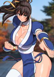Rule 34 | 1girl, breasts, dead or alive, kasumi (doa), large breasts, ponytail, solo