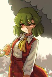 Rule 34 | 1girl, ;), absurdres, ascot, closed mouth, collared shirt, commentary, green hair, highres, holding, holding umbrella, kazami yuuka, long sleeves, looking at viewer, neo lyte, one eye closed, parasol, plaid, plaid skirt, plaid vest, red eyes, red skirt, red vest, shirt, short hair, simple background, skirt, smile, solo, touhou, umbrella, vest, white shirt, yellow ascot