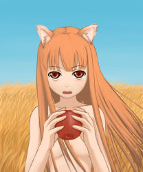 Rule 34 | 00s, 1girl, animal ears, apple, field, food, fruit, holding, holding food, holding fruit, holo, long hair, nude, red eyes, solo, spice and wolf, towamin, wolf ears
