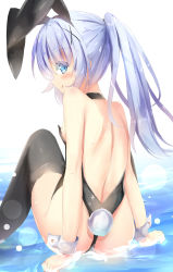 Rule 34 | 1girl, :q, animal ears, arm support, back, backless leotard, bad id, bad pixiv id, bare shoulders, black choker, black hairband, black leotard, black thighhighs, blue eyes, blue hair, blush, breasts, choker, closed mouth, commentary request, fake animal ears, feet out of frame, gochuumon wa usagi desu ka?, hair between eyes, hair ornament, hairband, highres, kafuu chino, knees up, leotard, long hair, looking at viewer, looking back, natuna natu, playboy bunny, ponytail, rabbit ears, rabbit tail, shallow water, sitting, small breasts, smile, solo, strapless, strapless leotard, tail, thighhighs, tongue, tongue out, wariza, water, wrist cuffs, x hair ornament