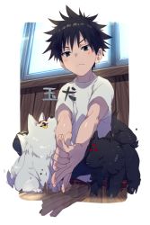 Rule 34 | 1boy, 2others, black fur, black hair, closed mouth, commentary request, day, dog, echo (circa), closed eyes, fushiguro megumi, indoors, jujutsu kaisen, kneeling, looking at another, looking at viewer, male focus, messy hair, multiple others, multiple tails, outstretched arms, own hands together, shirt, short hair, short sleeves, solo focus, spiked hair, tail, translation request, triangle, white fur, white shirt, window, wooden floor, wooden wall