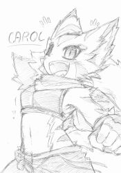 Rule 34 | 1girl, breasts, carol tea, cat, cat girl, crop top, eyelashes, fangs, female focus, fingerless gloves, freedom planet, furry, galaxytrail, gloves, highres, looking at viewer, matra usagi, midriff, navel, open mouth, pants, scarf, sketch, slit pupils, small breasts, smile, solo