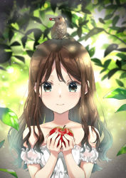 Rule 34 | 1girl, animal, animal on head, apple, bird, bird on head, blurry, blush, bokeh, branch, brown hair, commentary, day, depth of field, dress, food, fruit, green eyes, holding, holding food, holding fruit, leaf, light particles, long hair, looking at viewer, off-shoulder dress, off shoulder, on head, original, outdoors, smile, solo, symbol-only commentary, unya (unya-unya), upper body, white dress