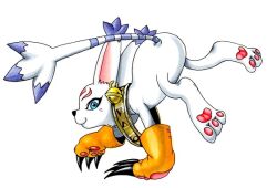 Rule 34 | animal ears, cat, cat ears, digimon, digimon (creature), gloves, holy ring, jewelry, ring, tail, tailmon, tailmon x-antibody