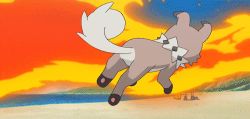 Rule 34 | animated, animated gif, creatures (company), dog, fire, game freak, gen 7 pokemon, lowres, nintendo, pokemon, pokemon (anime), pokemon sm, pokemon sm (anime), rockruff, water